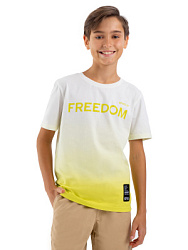 Футболка, цвет: желтый, артикул: LJBCT22-61