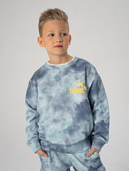 Толстовка, цвет: голубой, артикул: PKBCJ03-QW