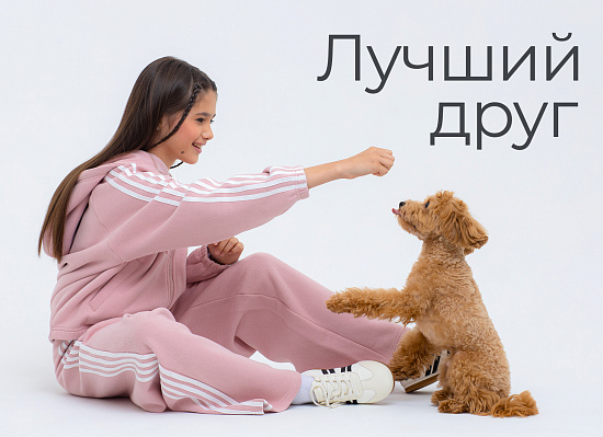 Коллекция